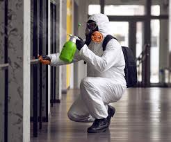 Mold Odor Removal Services in Pine Island, TX